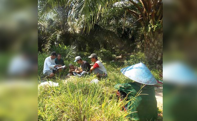 PETANI JADI AKTOR PENTING KEBUN SAWIT