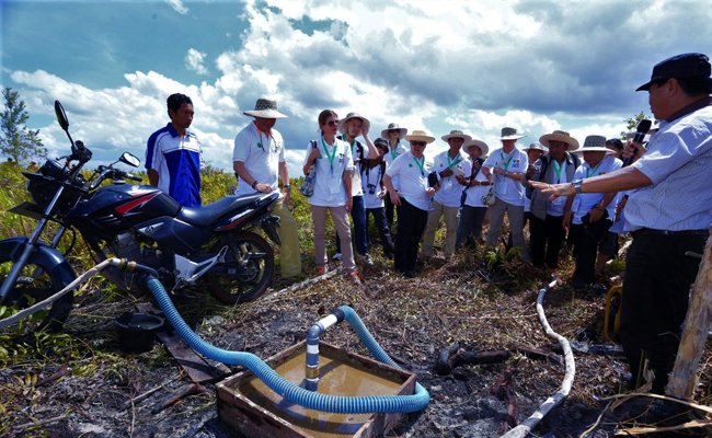 Rewetting (Pembasahan) Salah Satu Kegiatan Restorasi Gambut