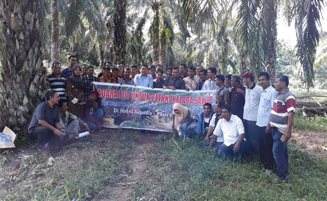 Serikat Petani Kelapa Sawit Lakukan 