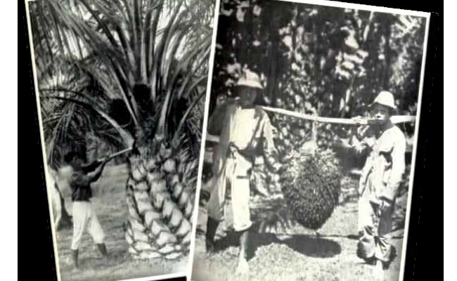 WARISAN KOLONIAL BELANDA