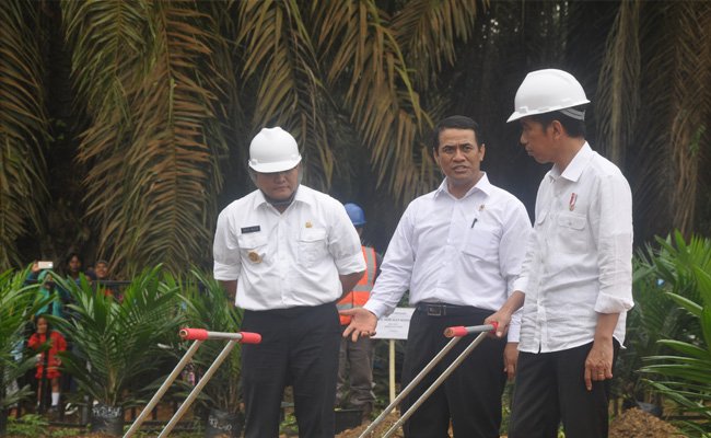  Pertama di Dunia, Musi Banyuasin Terapkan Lanskap Berkelanjutan