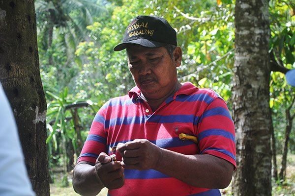 Ekspansi Perkebunan Sawit: Berdamai dengan Perbedaan