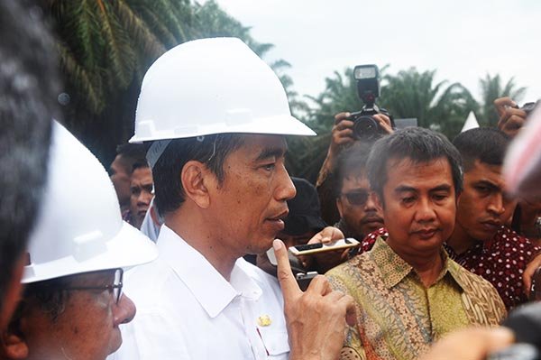 Indonesia Jelaskan Sawit Tidak Timbulkan Deforestasi