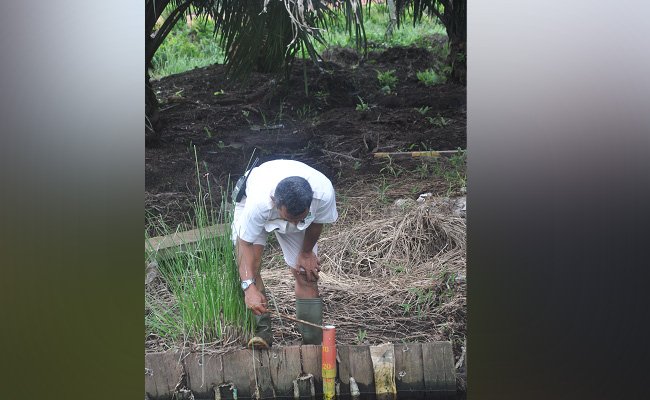 Terkait PP Gambut, Pemerintah Mesti Tinjau Regulasi Jegal Investasi