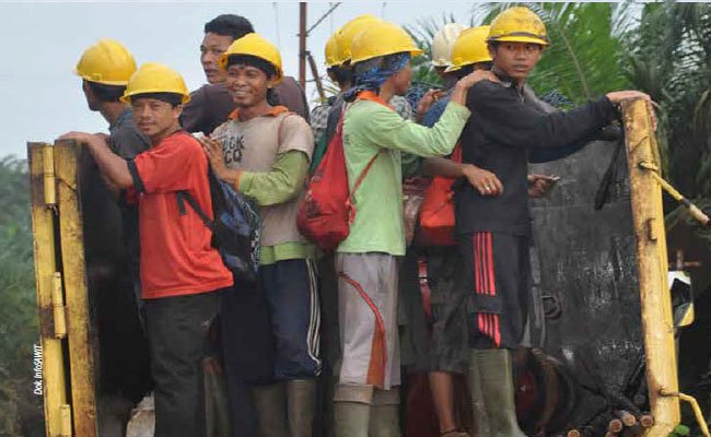 Mengulik Isu Penting Ketenagakerjaan Sektor Sawit