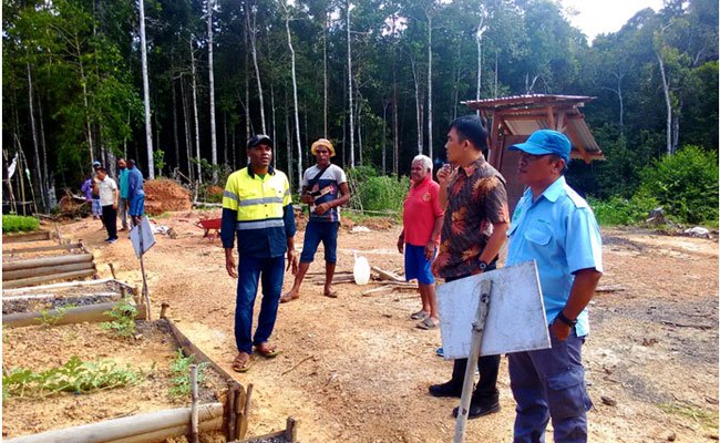 Mengurai Benang Kusut Pembangunan Kebun Plasma Sawit di Papua