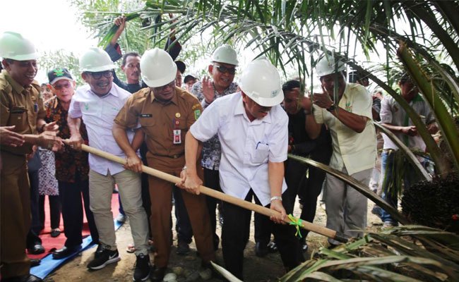 Peremajaan Sawit Rakyat Genjot Produktivitas dan Pendapatan Petani