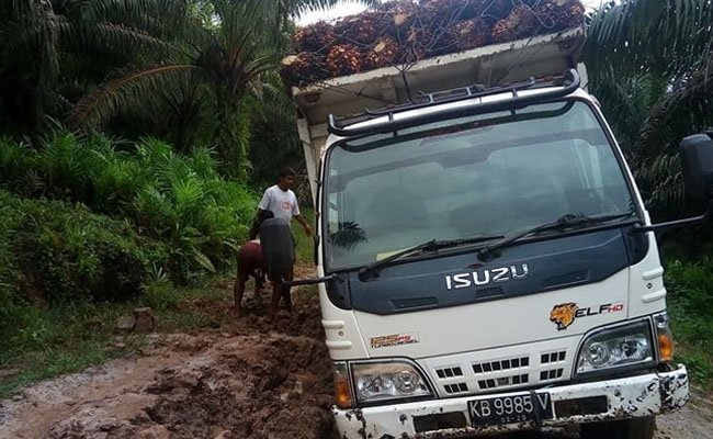 Petani Sawit: Pemerintah Diharap Perhatian Terhadap Jalan Kebun di Indonesia