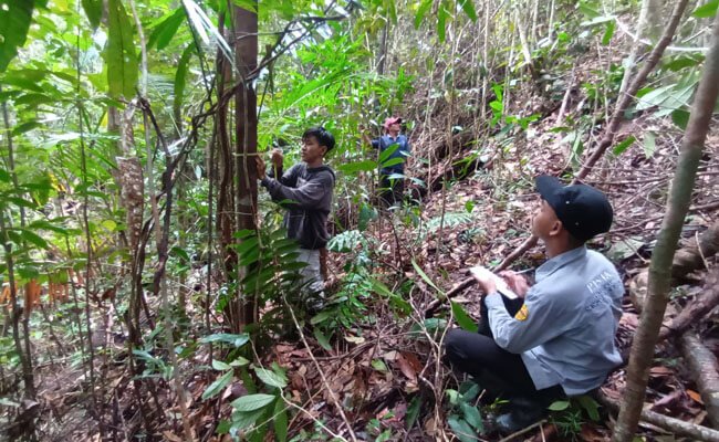 Bersama Masyarakat, BGA Group Konservasi Hutan Desa Ketapang