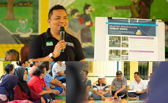 Jejak Kemitraan Musim Mas Dengan Pekebun Sawit Swadaya