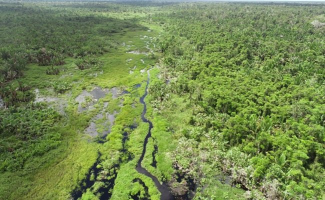 Peringkat Nilai Lingkungan ANJ Naik, Versi Carbon Disclosure Project (CDP)