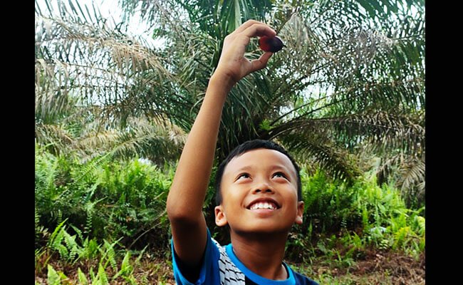 Sawit Bebas Pekerja Anak