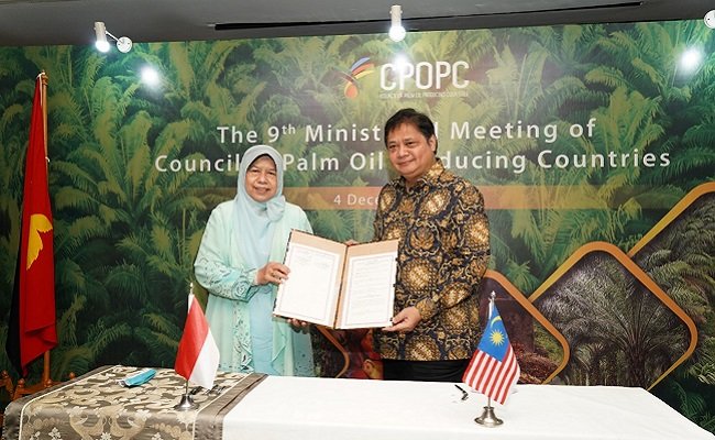 Sebelum Gabung di CPOPC, Negara Produsen Minyak Sawit Mesti Ratifikasi Protocol to Amend