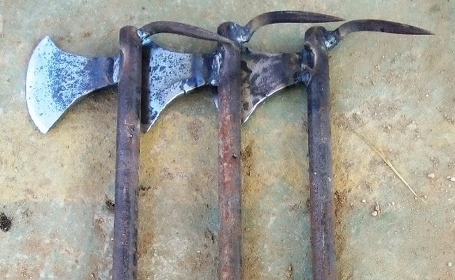 Supervisi Panen Kelapa Sawit, Gunakan Satu Alat Dengan Manfaat Ganda