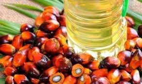 Produksi Minyak Sawit Dekel Oil Melejit