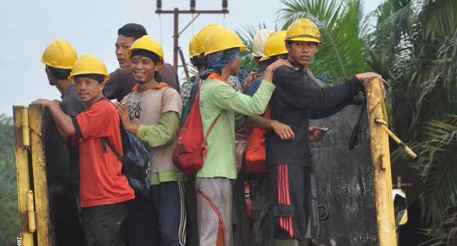 TENAGA KERJA SAWIT MESTIKAH IMPOR PEKERJA?