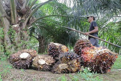 Warga Butaw Tuntut Ganti Rugi GVL
