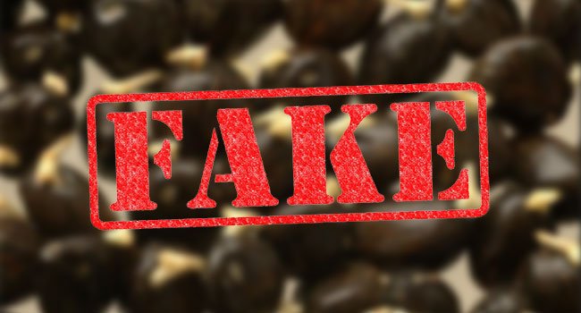 Di Kaltim, Ditemukan 60 Ribu Bibit dan Kecambah Sawit Palsu Beredar