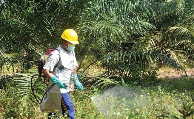 Menghapus 4 Pasal yang Berkaitan dengan Petani