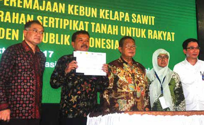 17 KABUPATEN AJUKAN  PEREMAJAAN SAWIT