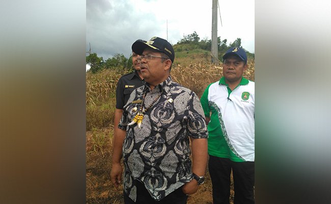 Bupati Kutai Timur Bangga kepada Petani Sawit