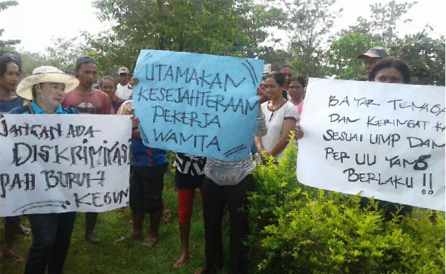 Kecewa Mekenisme Pengupahan Karyawan Sawit PT SPMN Mogok Kerja