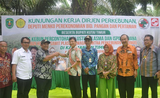 Klasterisasi Plasma Sawit Swadaya Dorong Validasi Data Petani