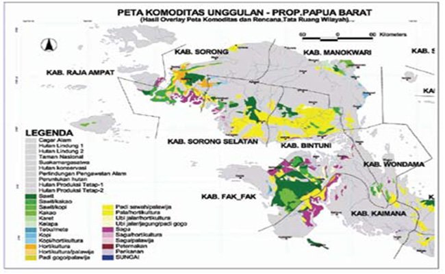 Menghitung Potensi Perkebunan Kelapa Sawit di Papua Barat
