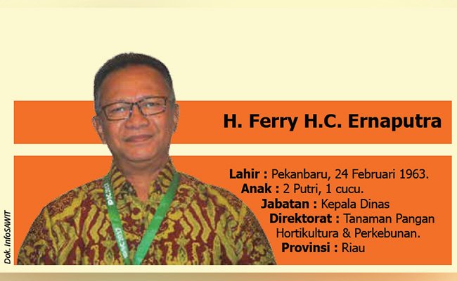 PERKEBUNAN  KELAPA SAWIT RIAU  SIAP REPLANTING