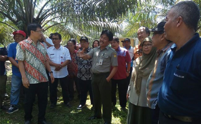 Perkebunan Kelapa Sawit Sejehterakan Masyarakat Kutai Timur
