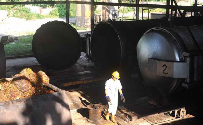 INDIA MASIH JADI PASAR TERBESAR SAWIT