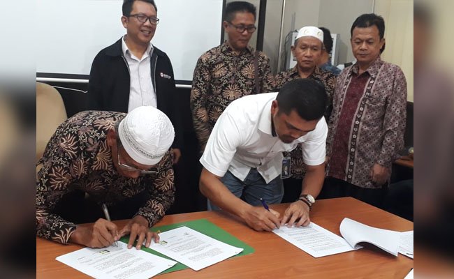 KUD Makmur Lestari Lakukan Peremajaan Sawit Didukung Dana BPDPKS, BRI Agro dan Sinar Mas