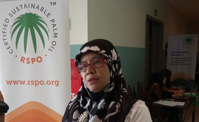 Pemprov Aceh Dukung Budidaya Perkebunan Kelapa Sawit Berkelanjutan