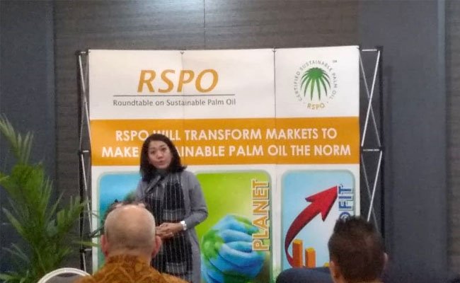 Perkuat Pasokan Minyak Sawit Berkelanjutan, RSPO dan Sejumlah Pelaku Bertemu di Aceh