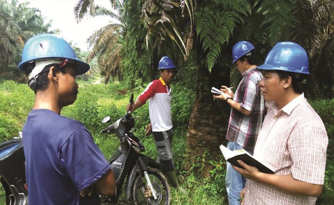 Saatnya Pemerintah Mendata Lahan Petani Sawit