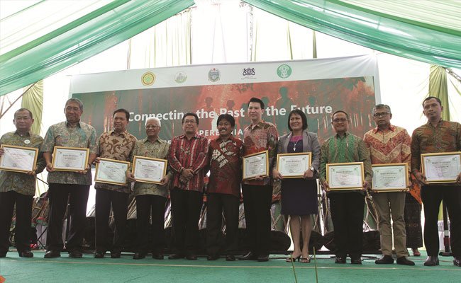 Sampai 2018, Partisipasi ISPO Sawit Capai 711 Pelaku Usaha