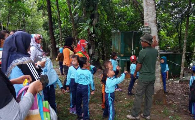 PAUD Bina Kasih Binaan PT Rohul Sawit Berupaya Jadi Sekolah Terbaik Se-Riau