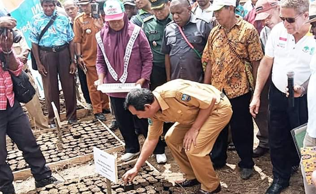 Peremajaan Sawit 344,5 Ha di Manokwari Resmi Dilakukan