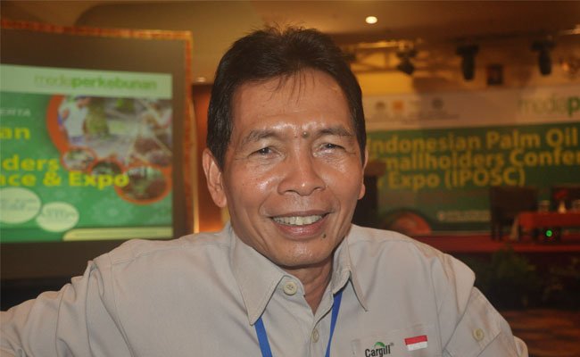 Petani Sawit Didorong Percaya Diri Lakukan Peremajaan