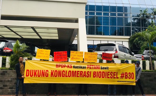 Program Biodiesel Sawit (B30) Belum Libatkan Pasokan Baha Baku Dari Petani
