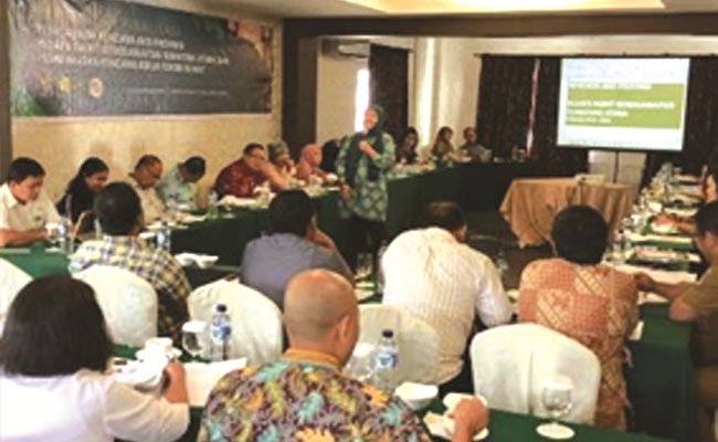 Sumut Terapkan Rencana Aksi Kelapa Sawit Berkelanjutan