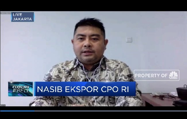 Kenaikan Tarif Impor CPO India Tak Pengaruhi Kinerja Sawit