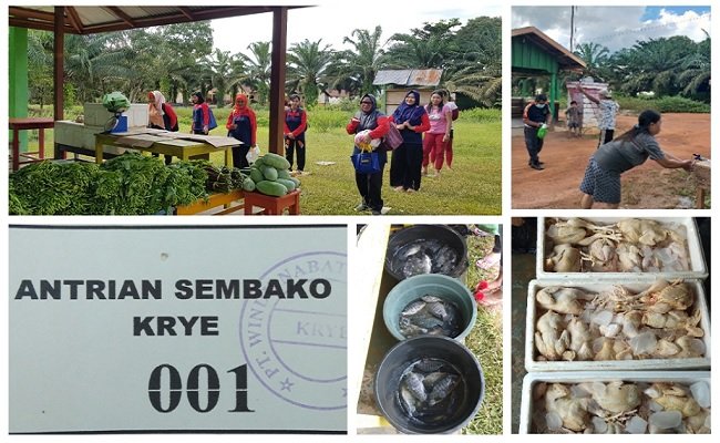 Selama Pandemi, UPS Terbukti Perkuat Ketahanan Pangan Masyarakat Di Kebun Sawit