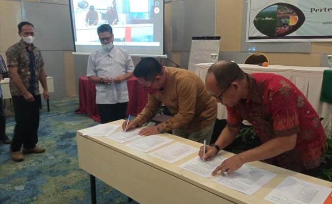 79% Konflik Perkebunan Sawit Di Kaltim Terkait Lahan, Disbun Kaltim Adakan Koordinasi