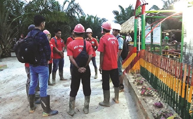 Ini Lowongan Kerja Sawit Minggu Ini, Kali Saja Cocok