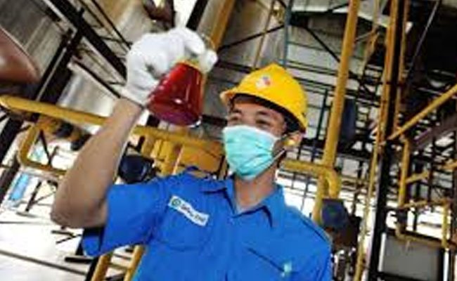 Laba DSNG Tumbuh 55% Selama Periode 2021
