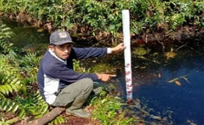 Pengelolaan Sawit Berkelanjutan di Lahan Gambut