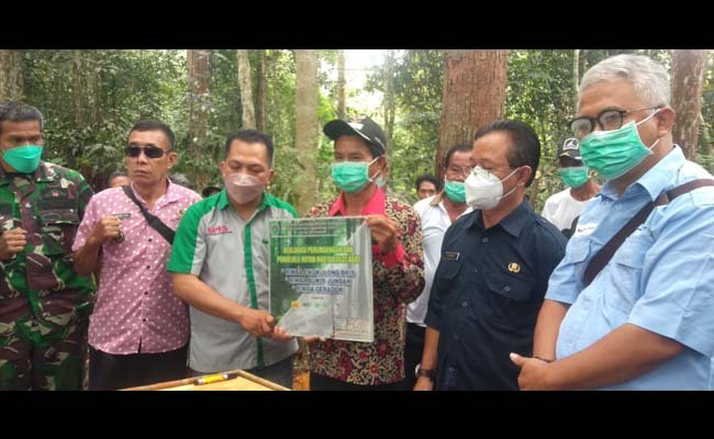 Petani Sawit Swadaya Kopbun Piansak Mandiri Sepakat Lindungi Hutan Masyarakat Adat