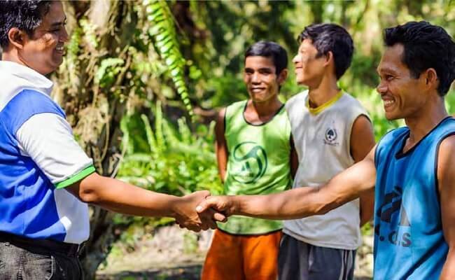 Rekam Jejak Musim Mas Di Kemitraan Pekebun Sawit Swadaya