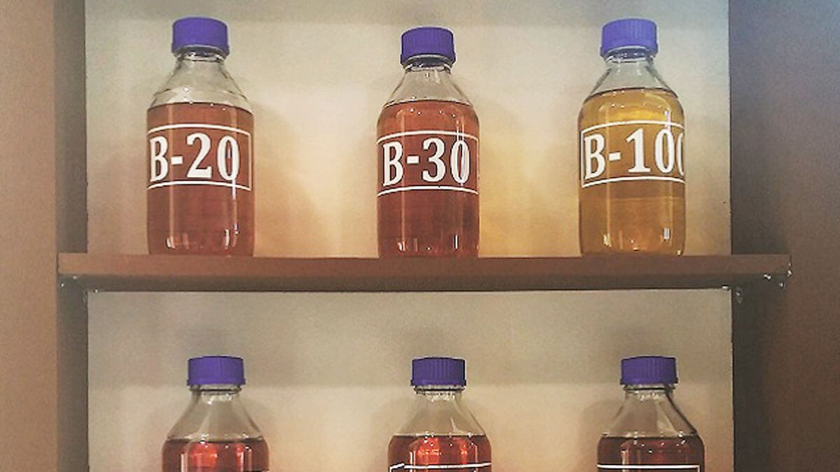 Program Biodiesel Melaju, Industri Sawit Diminta Fokus Tingkatkan Produktivitas